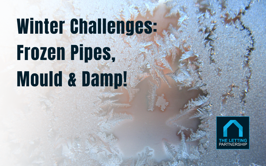 Winter Property Care: Frozen Pipes, Mould and Damp 